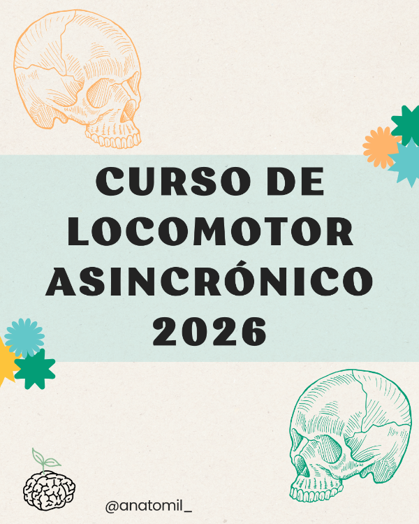 Producto - CURSO LOCOMOTOR ASINCRÓNICO 2026