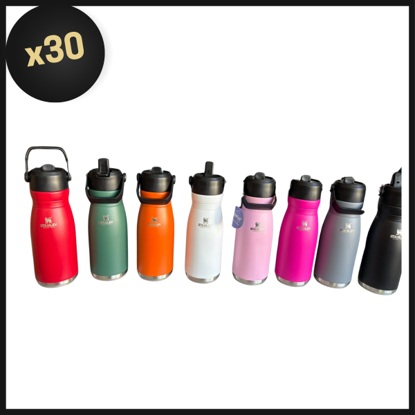 Producto - PROMO BULTO BOTELLA TERMICA FLIP 780ML CON LOGO