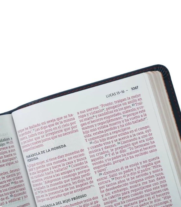 Producto - BIBLIA NBLA ULTRAFINA LETRA GRANDE - Imitación Piel Azul - 3