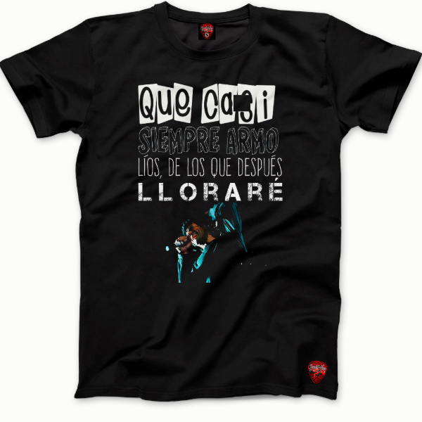 Producto - Remera - Alejandro "Bocha" Sokol - 27