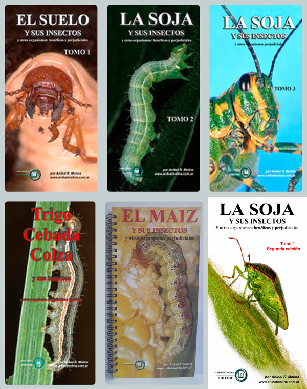 Producto - Molina: Colección Completa Insectos de Soja, Suelo, Maíz, Trigo, Cebada y Colza