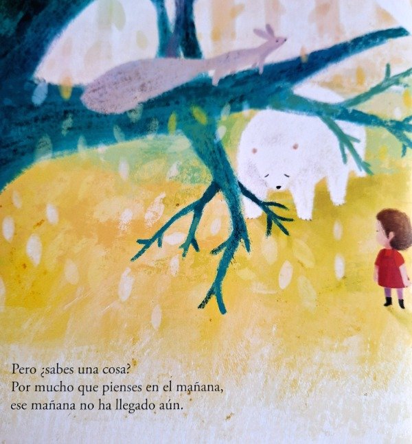Producto - Ahora - 6