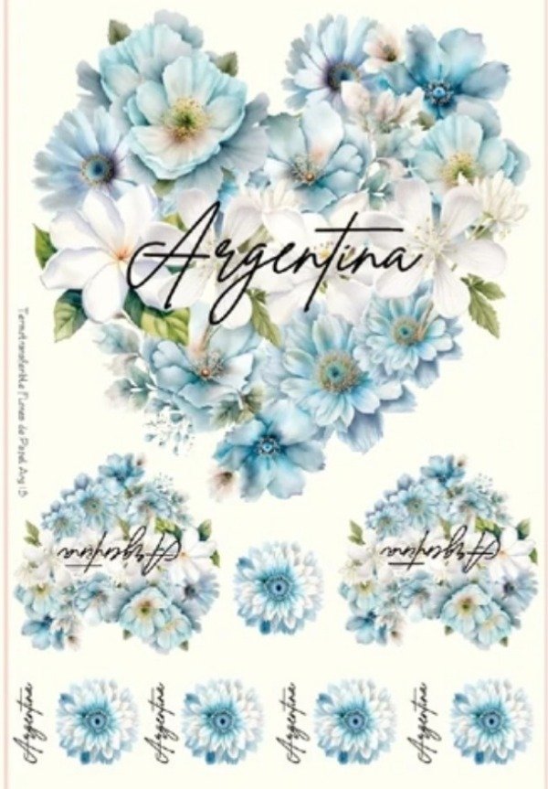 Producto - Transfers ARG 13