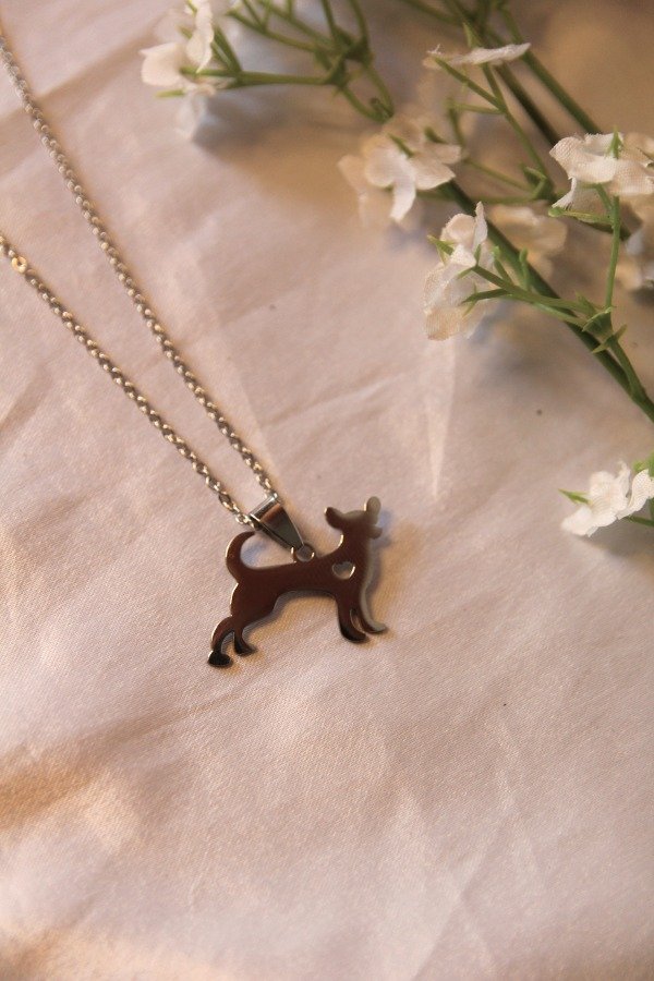 Producto - Collar Perro Chihuahua