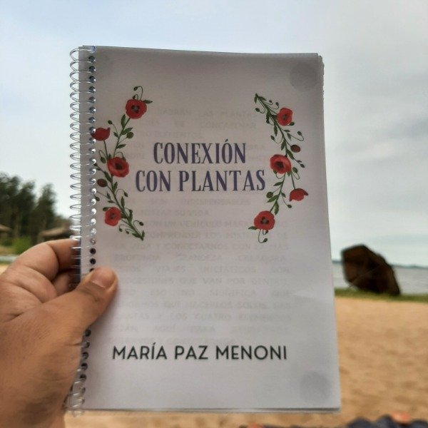 Producto - Conexión (RONDA EN PDF)