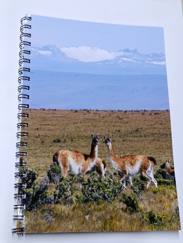Producto - Cuaderno Premium A4 - Guanaco  Fotografía de Autor - Tapa Blanda