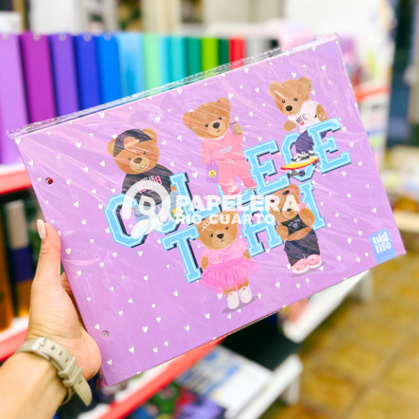 Producto - CARPETA 2 TAPAS N5 TEDDY