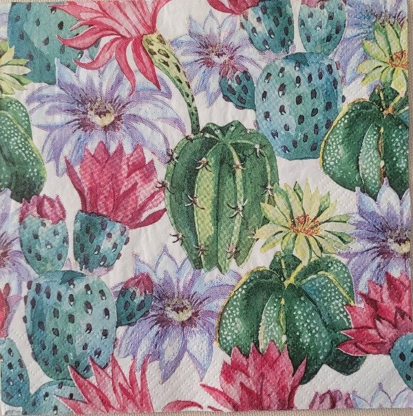 Producto - Cactus y flores 1