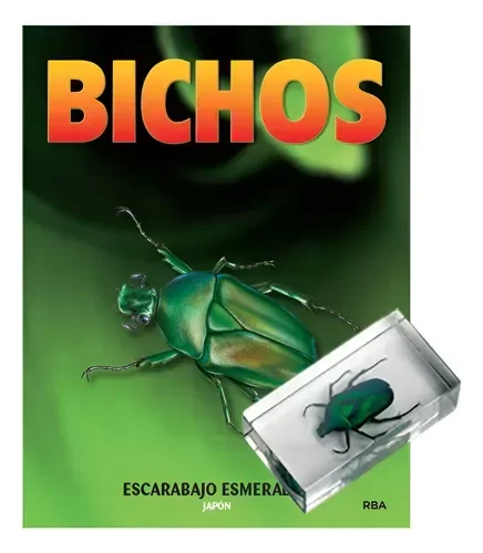 Producto - Escarabajo Esmeralda