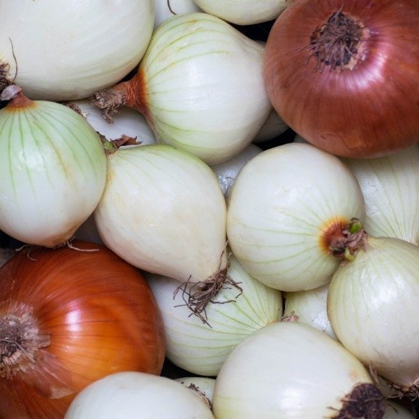Producto - PROMO - Cebollas 2kg
