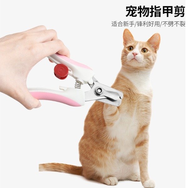 Producto - TIJERA P/MASCOTA