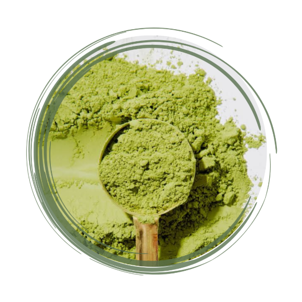 Producto - Matcha Doypack Organikal x 50gr.