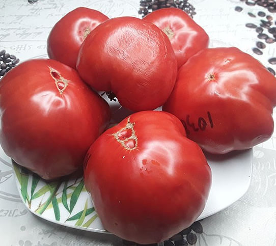 Producto - SEMILLAS DE TOMATE ITALIANO FURIOSI RAMELLA HEIRLOOM