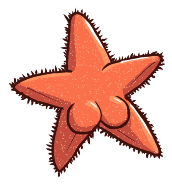 Producto - Sticker estrella culona - Conicet