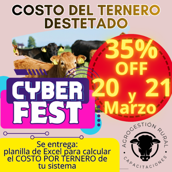 Producto - Taller Online: Costo del Ternero