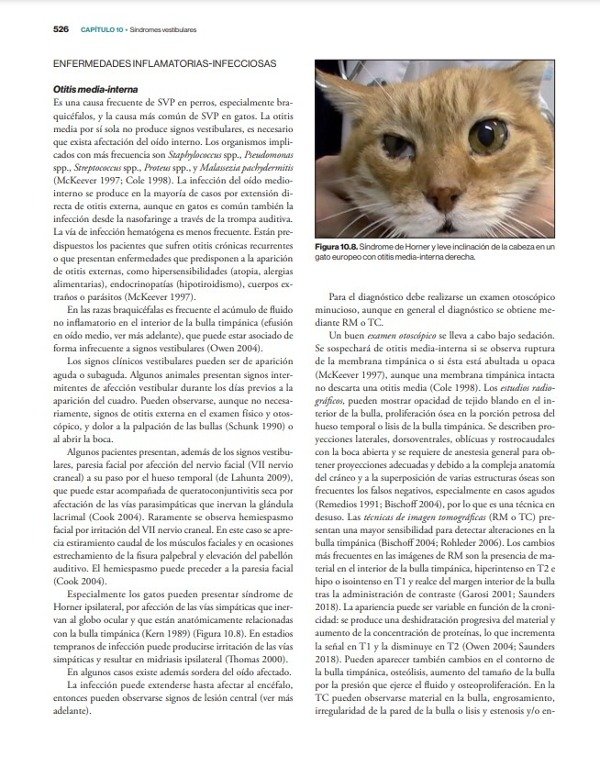 Producto - Morales: Neurología Canina y Felina, 2da - 9