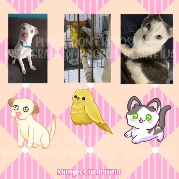 Producto - Sticker Personalizado de tu mascota
