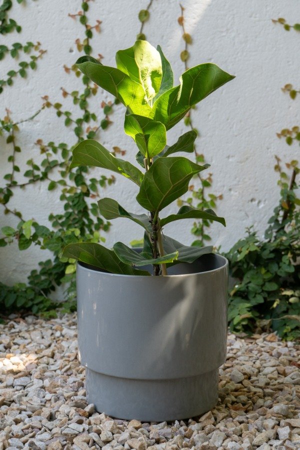 Producto - Maceta Kyoto