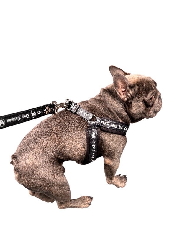 Producto - Combo Arnés institucional Black,