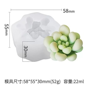 Producto - Molde Suculenta 1N5