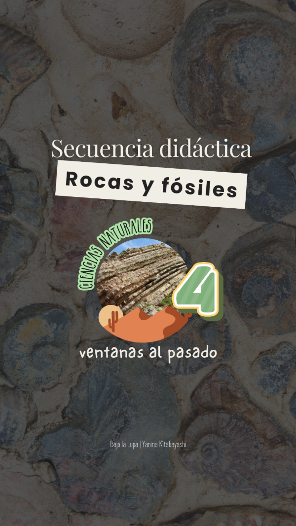 Producto - Secuencia Didáctica Rocas y fósiles 4
