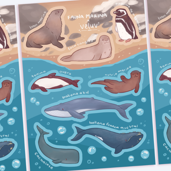 Producto - fauna marina - plancha vinilo