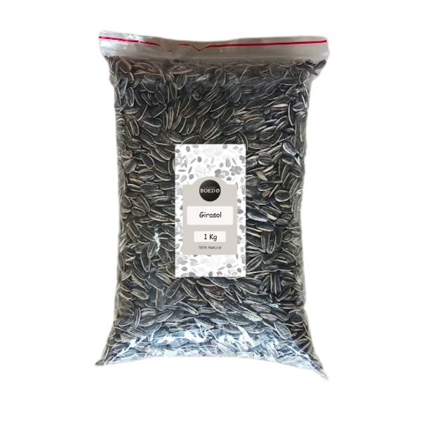 Producto - Alimento Girasol Grande para Loros x 1 Kg Distribuidora Boedo