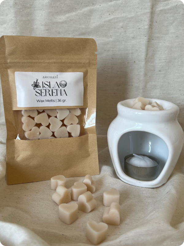 Producto - Kit hornito + Wax Melts - 3