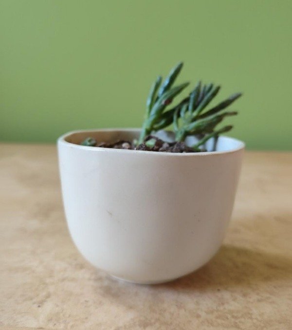 Miniatura de producto - 9