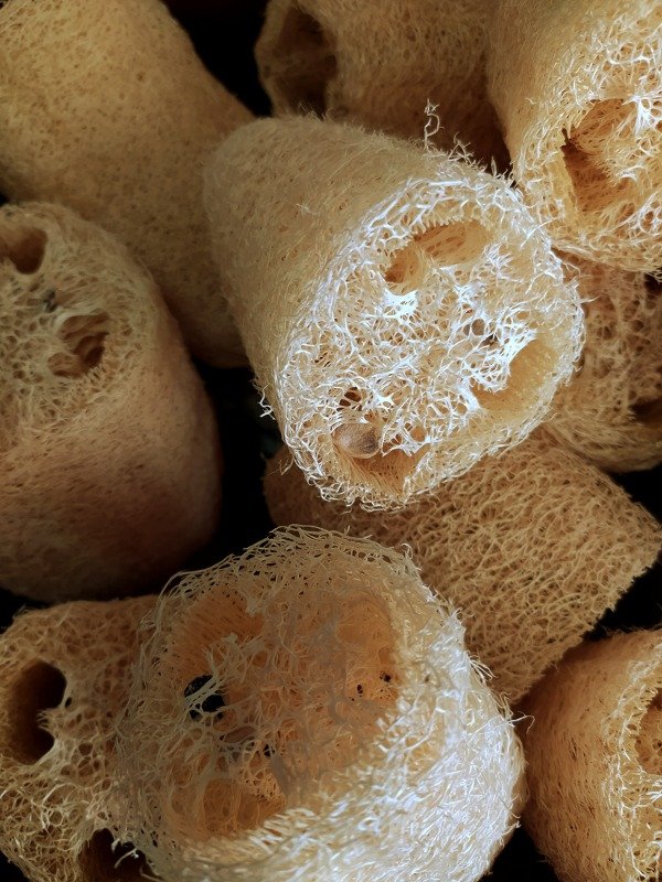 Producto - Esponja vegetal Luffa