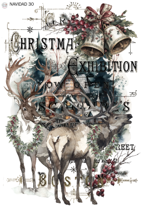 Producto - NAVIDAD 30 TR