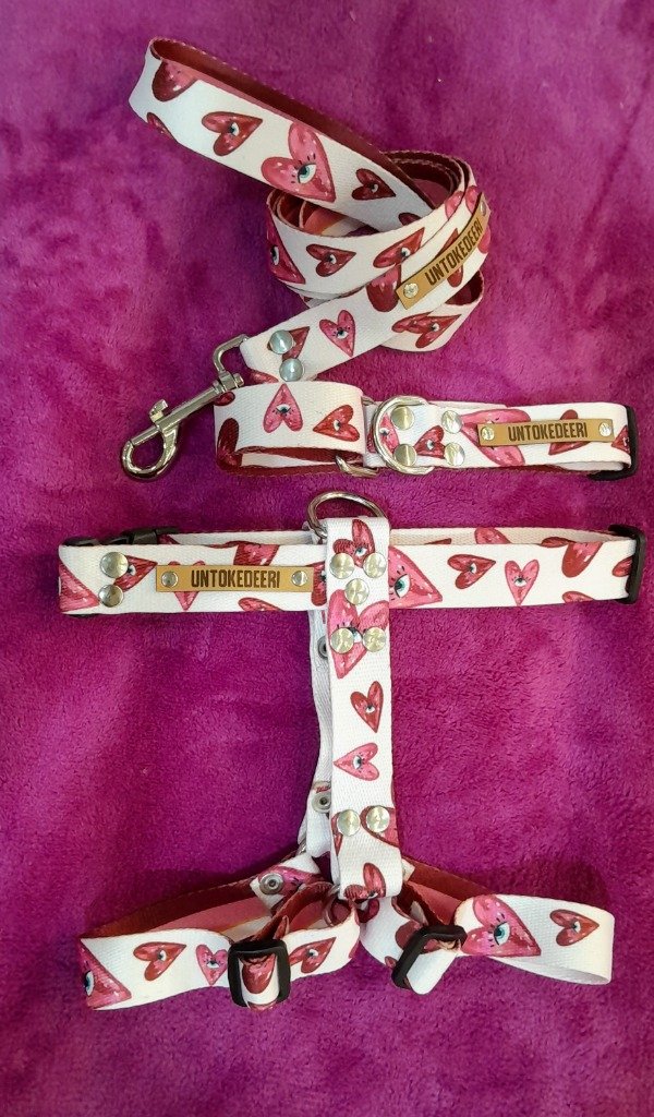 Producto - CONJUNTO PRETAL H