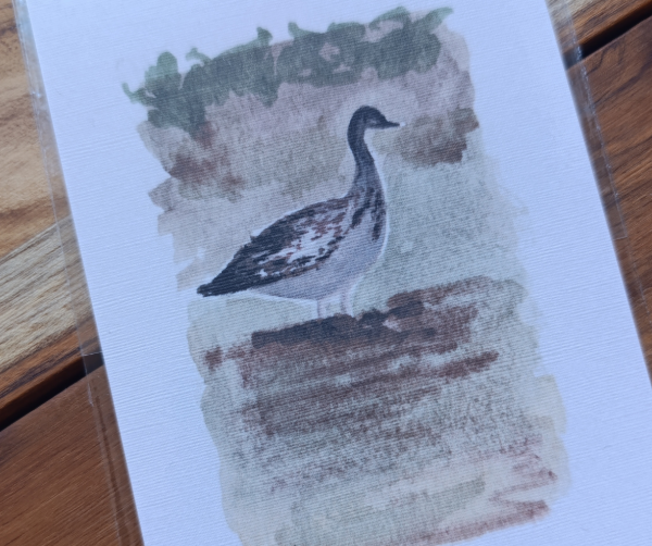 Producto - Ilustraciones Pequeños amigos del campo - 3