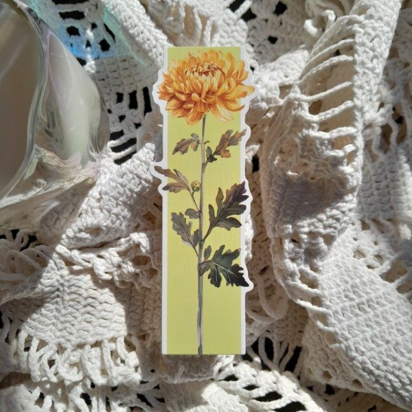 Producto - Color Bloom 2 - 14