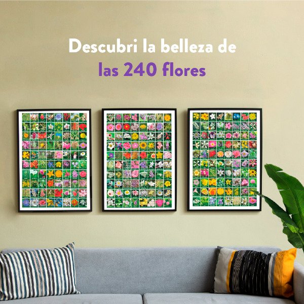 Producto - Set 3 Posters 240 flores