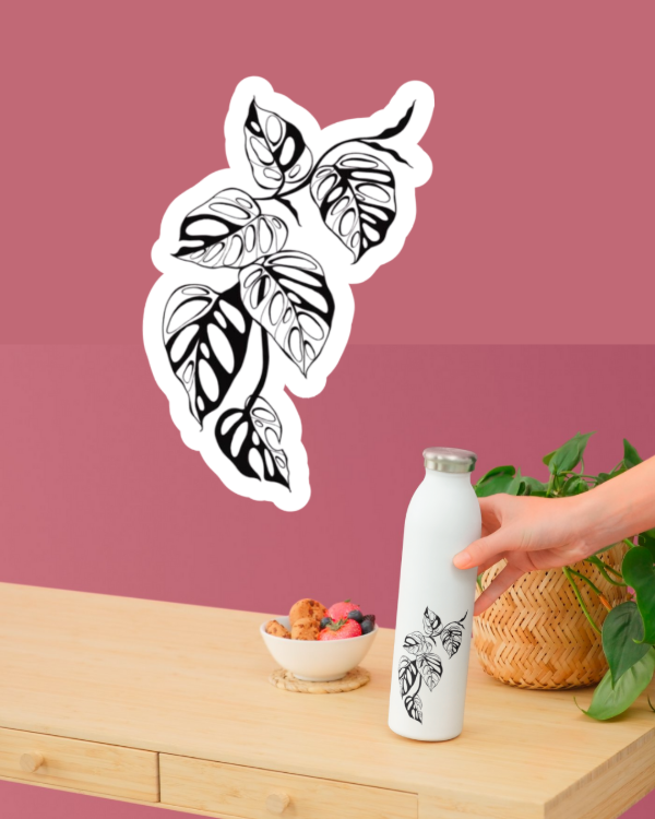 Producto - Hojas negras potus