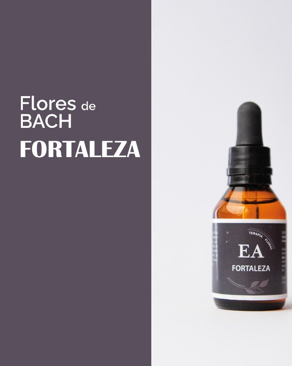 Producto - FORTALEZA