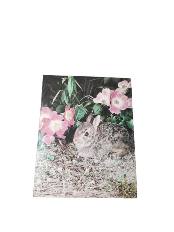 Miniatura de producto - 7