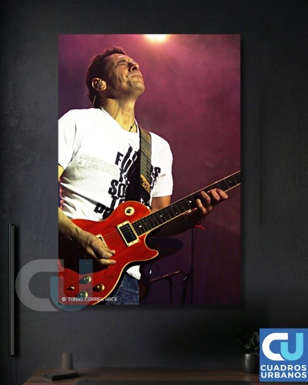 Producto - Divididos 12