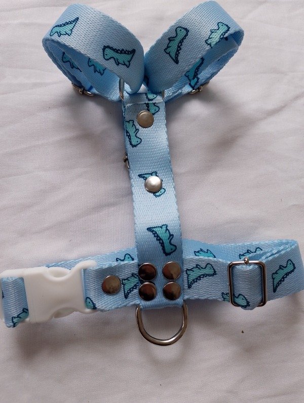 Producto - Arnés H Dino Baby Blue - 1