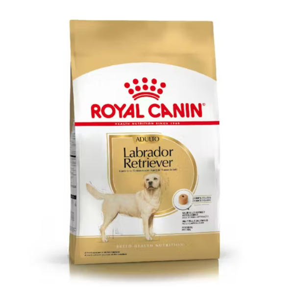 Producto - Labrador Retriever Adulto