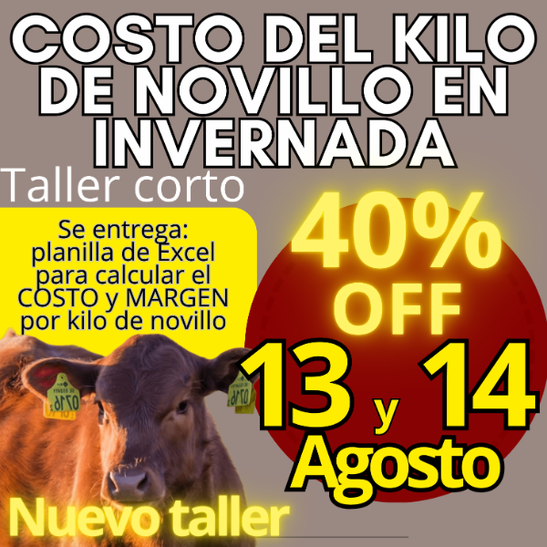 Producto - Taller corto: cálculo del costo del kilo de novillo