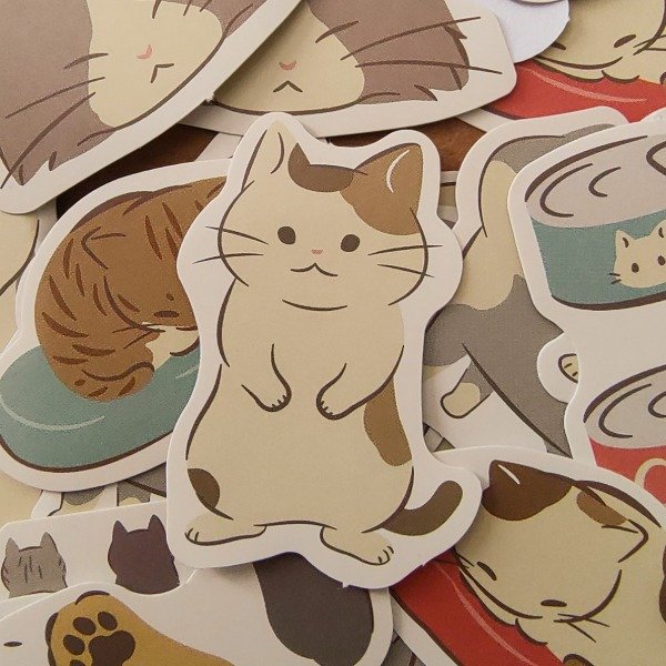 Producto - Pack michis