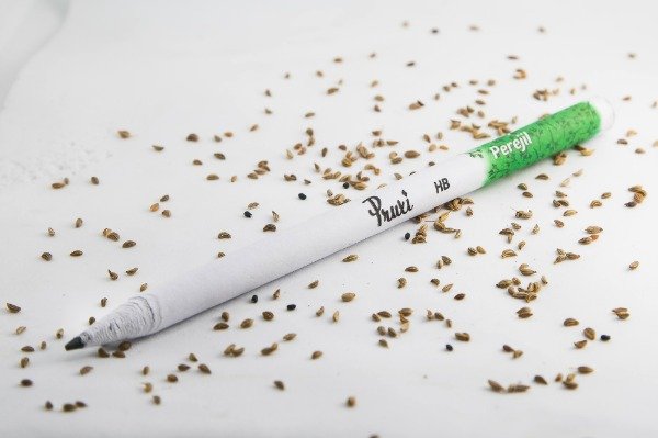 Producto - Lápices ecológicos plantables x 50 u.
