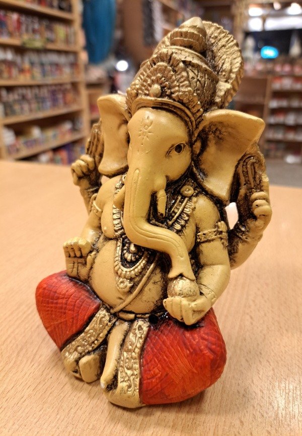 Producto - Ganesha Protección