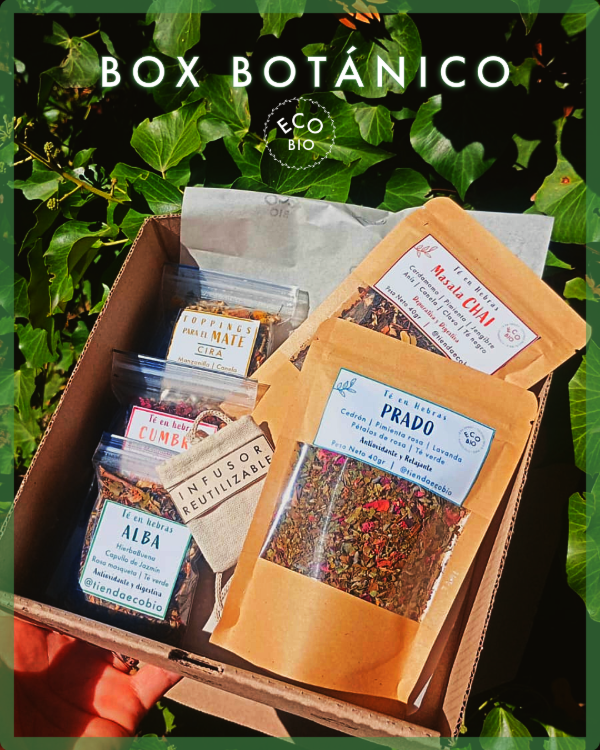 Producto - Box Bótanico