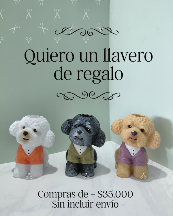 Producto - Quiero un llavero de regalo!!! (En compras de + 35.000)