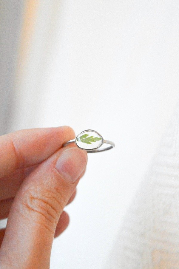 Producto - Anillo Helecho