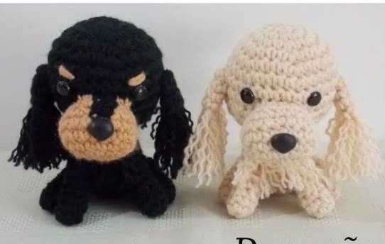 Producto - Perros - 12