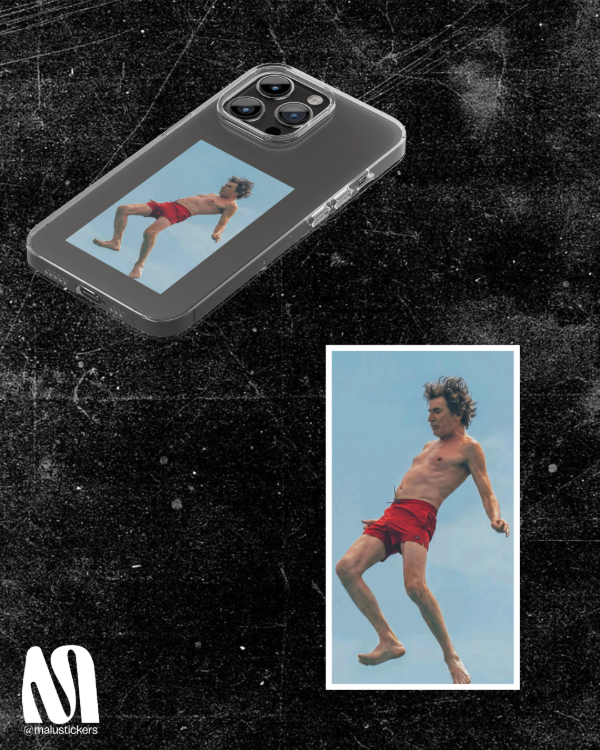 Producto - Charly #6